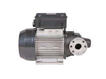 Piusi E 120 M Diesel Fuel Pump