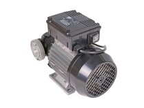 Piusi E 120 M Diesel Fuel Pump