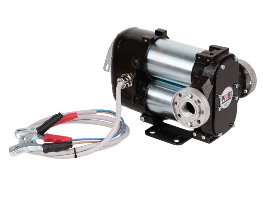 Piusi Bipump 24V diesel fuel pump with 2m cable, art: F0036303A.