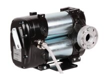 Piusi Bipump 24V diesel fuel pump with 2m cable, art: F0036303A.