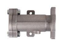Piusi Line filter linear filter