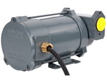 Gespasa Iron-50 Ex 24 Gasoline Pump