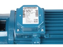 Bomba de combustible diésel Gespasa CG-1000