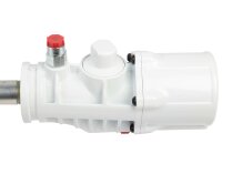 Bomba de lubricación neumática Samoa PM3-55:1/920