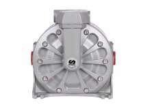 Samoa DF100AAA11CHBAS Membrane Pump