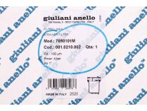 Giuliani Anello 7050101M Fuel Filter