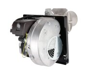 Quemador de gas Riello 40 FS8
