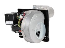 Riello 40 FS20 gas burner