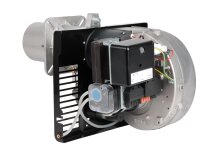 Quemador de gas Riello 40 FS20