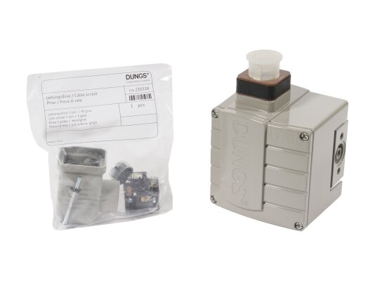 Interruptor de presión Dungs GW 500 A4/2 G3