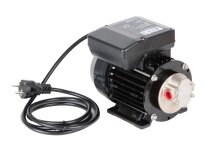 Piusi Garda 5 Diesel Fuel Pump