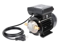Piusi Garda 5 Diesel Fuel Pump