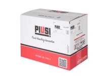 Piusi Garda 5 Diesel Fuel Pump