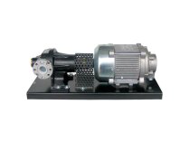Piusi P80EXX M Diesel Fuel Pump