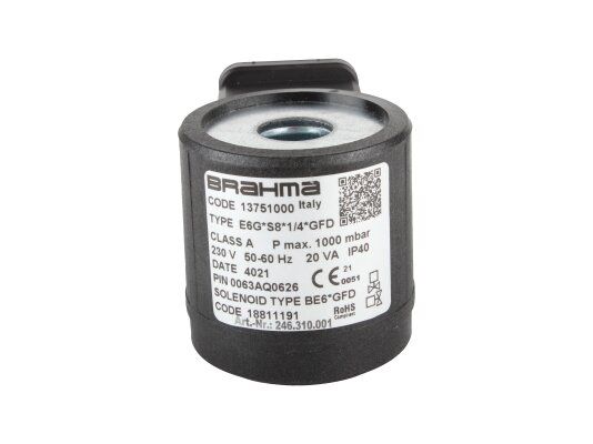 Electromagnetic coil Brahma BE6*GFD 18811191