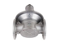 Dungs FRNG 5065 Gas Pressure Regulator
