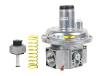 Dungs FRSBV 1010 safety relief valve