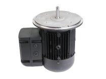 Motor eléctrico Weishaupt WM-D112/140-2/3K0
