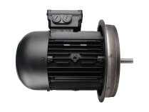 Weishaupt W-D112/140-2/3K0 electric motor, art: 25171707010