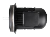 Weishaupt W-D112/140-2/3K0 electric motor