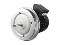 Weishaupt W-D112/140-2/3K0 electric motor