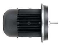 Weishaupt W-D112/140-2/3K0 electric motor
