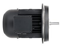 Weishaupt W-D112/140-2/3K0 electric motor