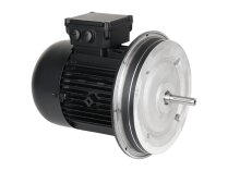 Motor eléctrico Weishaupt W-D112/140-2/3K0