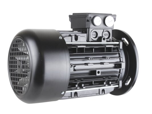 Motor eléctrico Riello 3013565