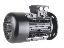 Motor eléctrico Riello 3013565