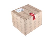 Controlador de quemador Riello REC27.100A2