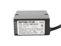 Brahma TD1LTCAF Ignition Transformer 15910409