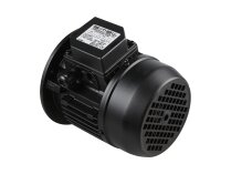 Simel 31/3011 Electric Motor