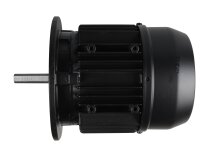 Simel 31/3011 Electric Motor