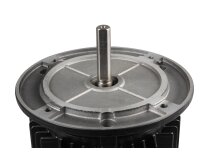 Motor eléctrico Simel 31/3011