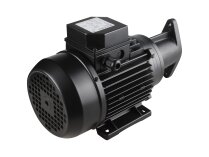 Simel 44/6 IE2 electric motor