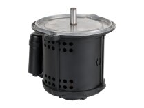 ACC 450W Electric Motor 13011930