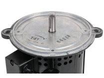 ACC 450W Electric Motor 13011930