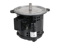 Motor eléctrico ACC 450W 13011930