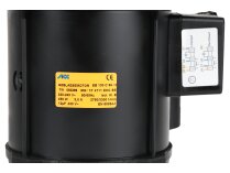 Motor eléctrico ACC 450W 13011930