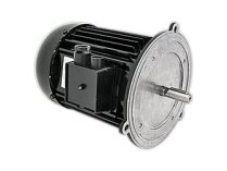 Hanning 900W Electric Motor, art. 13013125
