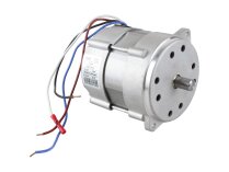 Riello 517SE 6704 electric motor