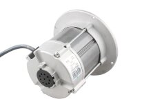 Motor Riello 605SE 0300, 250W