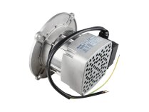Motor eléctrico Riello, 450W, 3013752