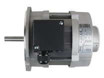 Riello RHT 135 electric motor, 450W