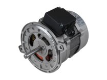 Riello RHT 135 electric motor, 450 W, art: 3006716.