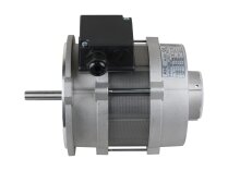 Motor eléctrico Riello RHT 135, 450W
