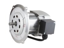 Riello RH S 110 20043440 Motor