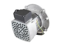 Riello RH S 110 20043440 Motor