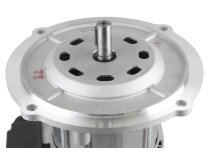 Riello RH S 110 20043440 Motor